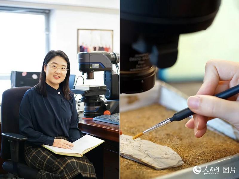 谭笑正在进行古生物科研工作。人民网 周宋雪摄