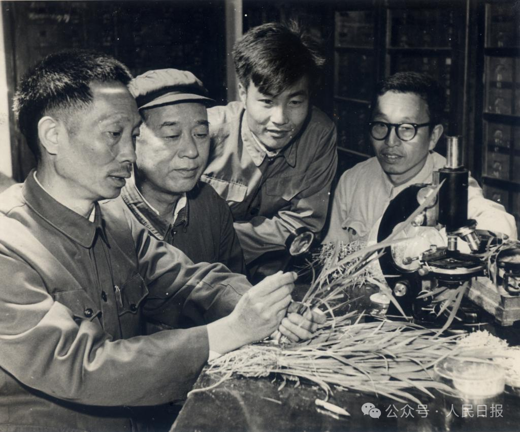 圖片