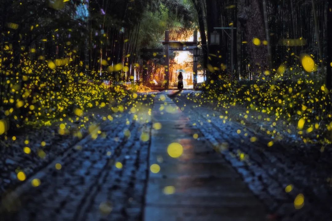 夏至編輯推薦：一夜薰風帶暑來 縱覽全球夏日限定美景資訊素材-ID:1159778632